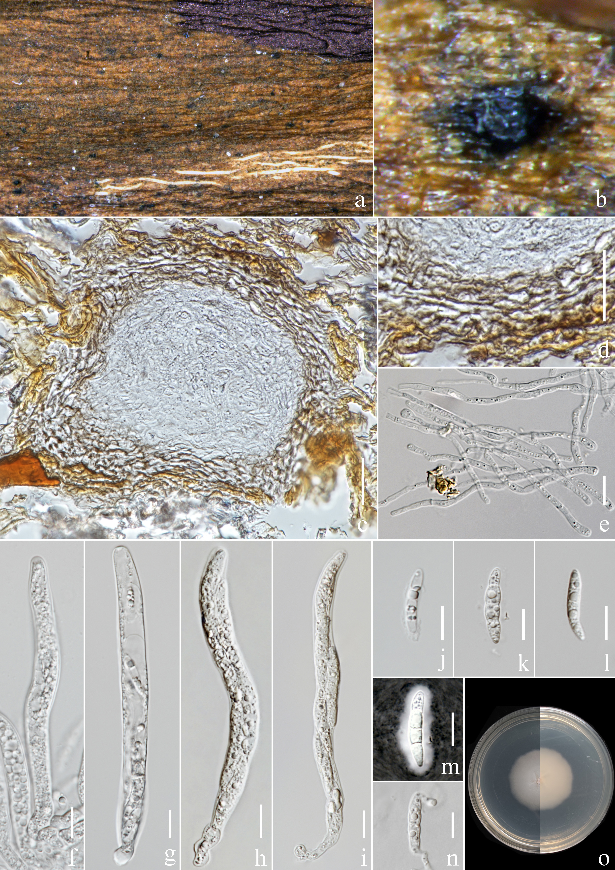 Figure 106